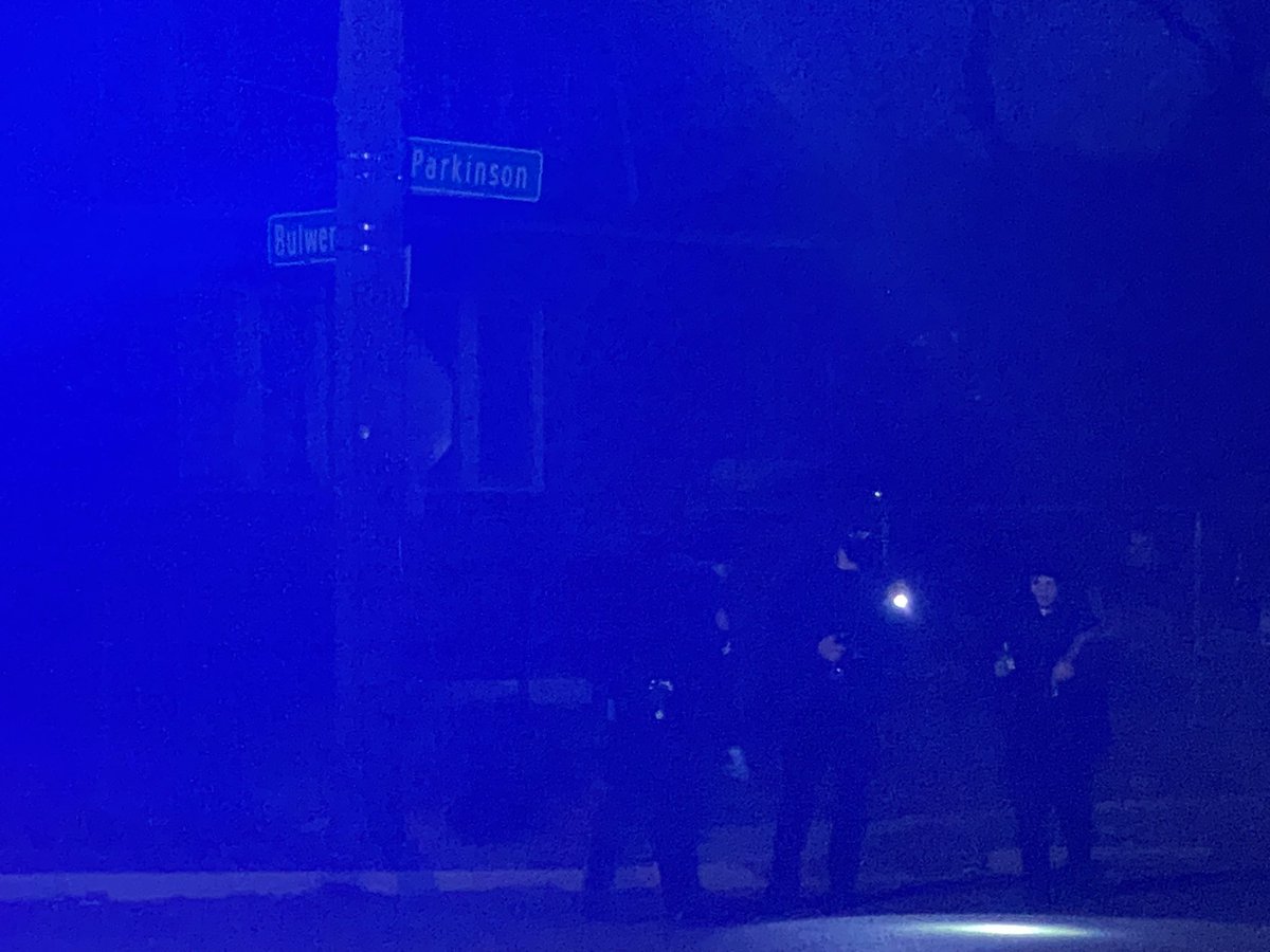 Male dead on Bulwer near Martin between Mich Ave and John Kronk in SW Detroit. Police searching area to the west around Parkinson and Bulwer for bullet casings and other evidence. So far, though, no timeline or id or motive. 