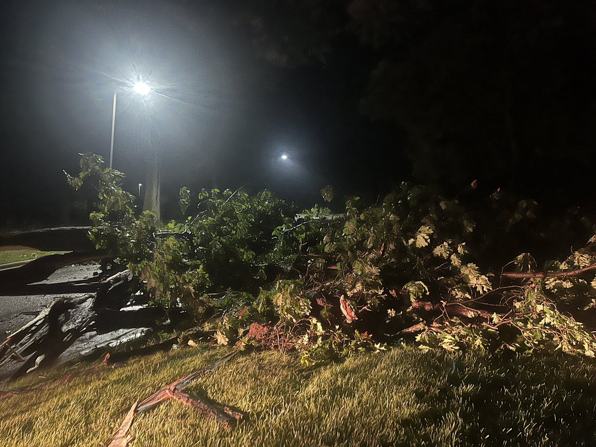 Damage from the severe storms that ripped through parts of Grand Rapids tonight. This is near Riverside Park