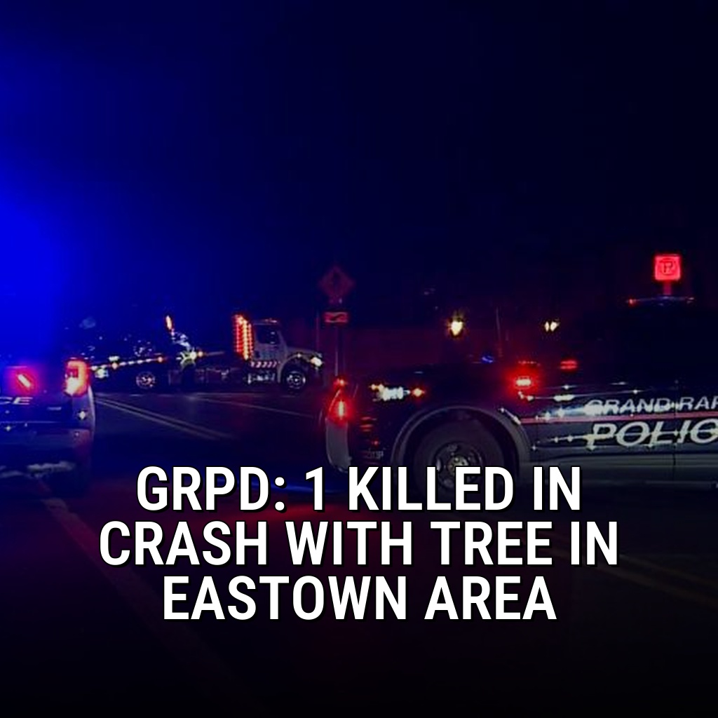 One person died in a crash involving a tree in the Eastown area of Grand Rapids Monday night, police say: