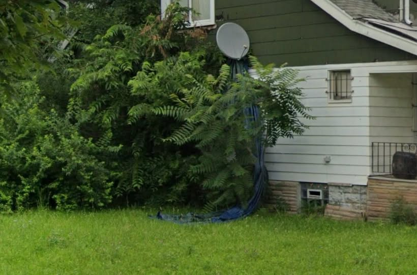 DetroitPolice Evidence Techs are responding to the 1000 block of Fernhill to process either a carp or a tarp for homicide detectives. The dispatch audio was a little rough, so distinguishing between the two was difficult